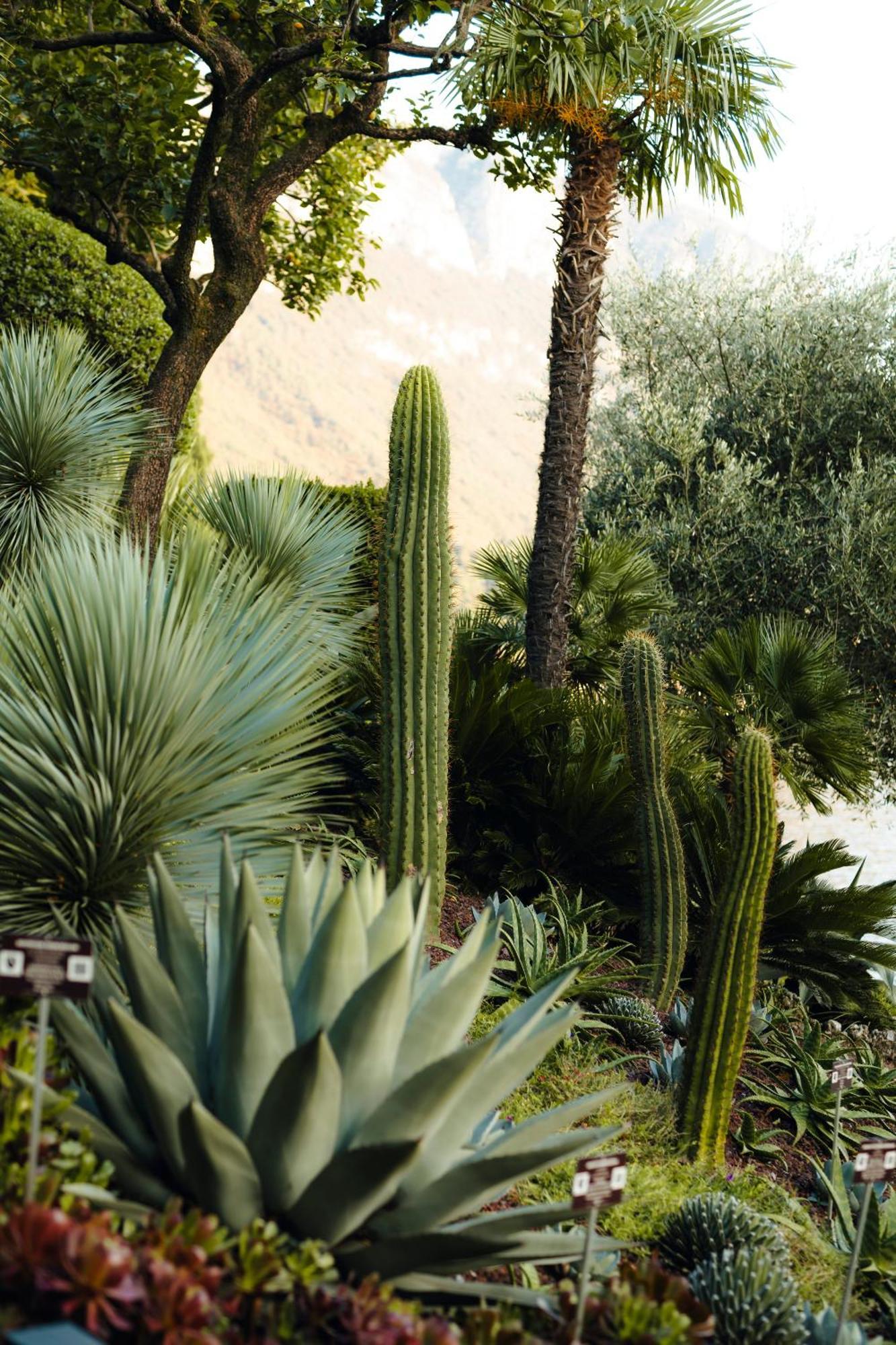 Hotel Villa Cipressi, By R Collection Hotels Varenna Buitenkant foto